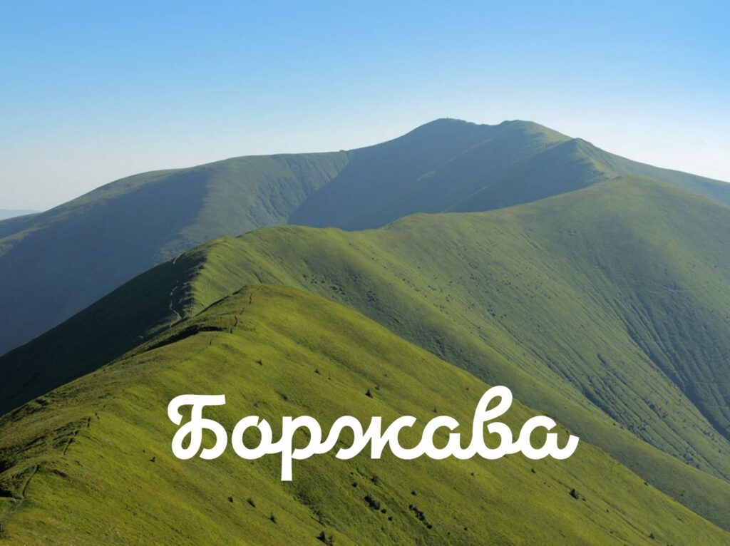 Врятуй Боржаву