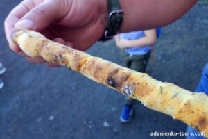 Дитяча екскурсія на млин