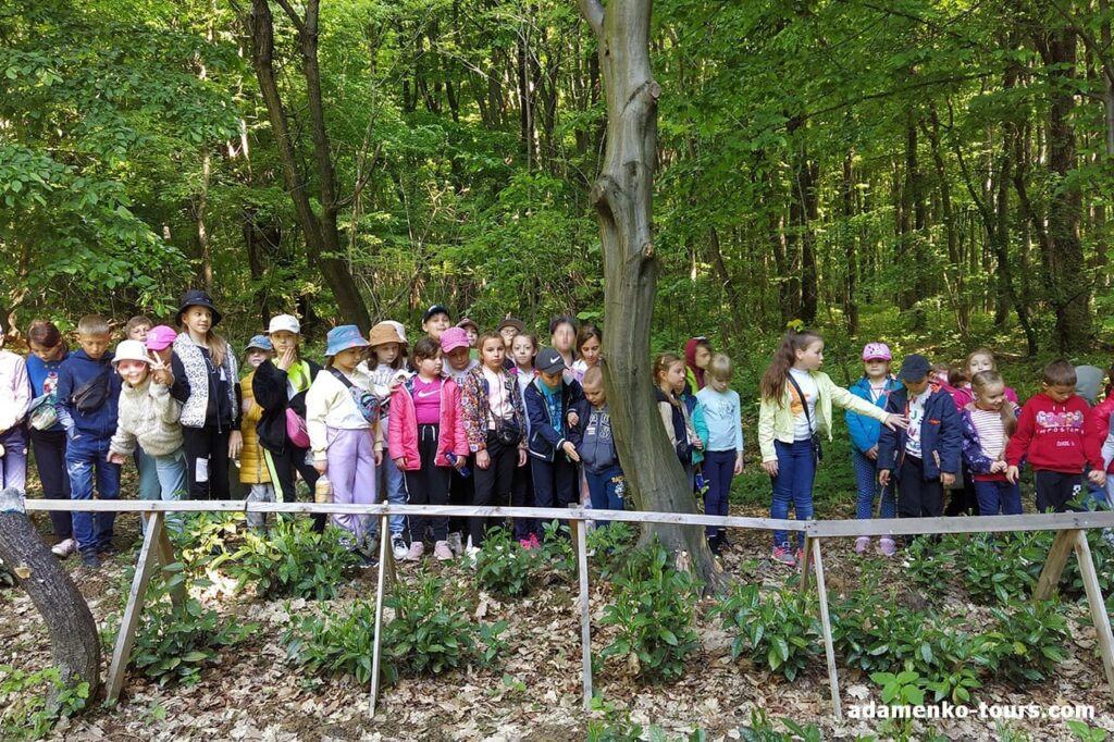 екскурсія на чайну плантацію